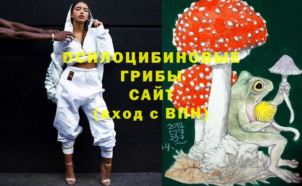 ALPHA PVP Богородск