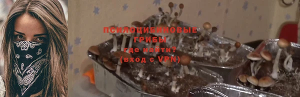 ALPHA PVP Богородск