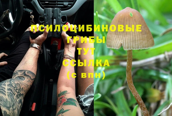 дживик Богданович