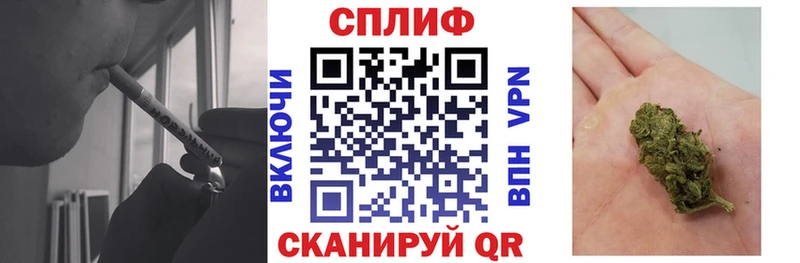 Шишки марихуана марихуана  это формула  Козьмодемьянск 